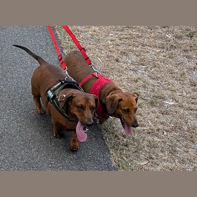 Photo of Harry / Sally