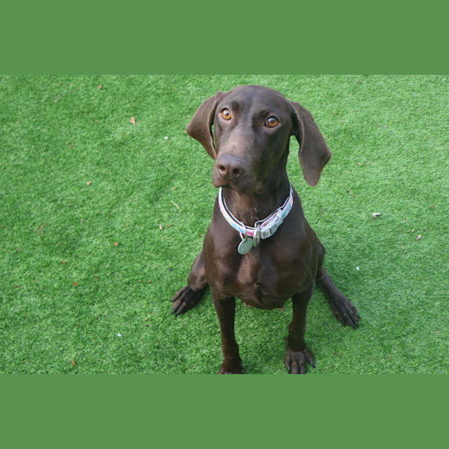 Photo of Maggie