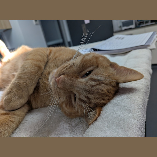 Photo of Fergus