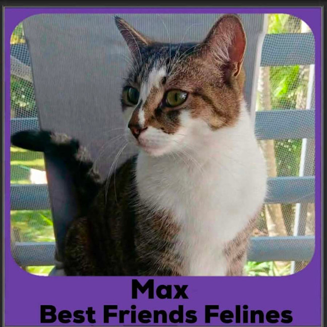 Photo of Max