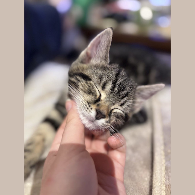 Photo of George   Reviewing Applications