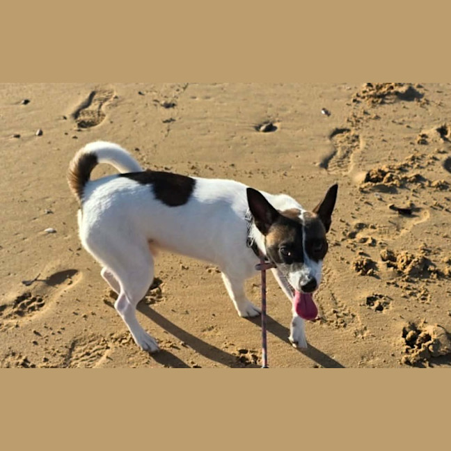 Photo of Milo