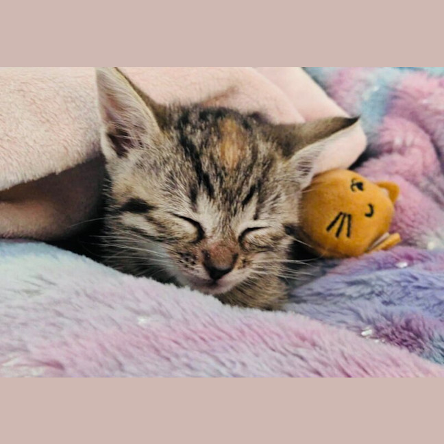 Photo of Peggy