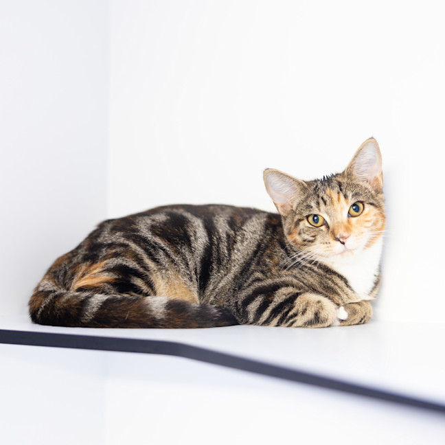 Photo of Sprout