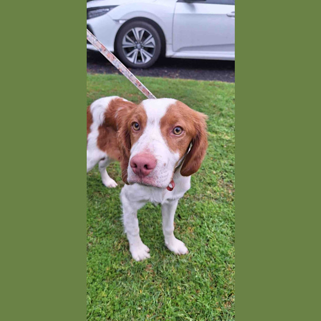 Photo of Duke