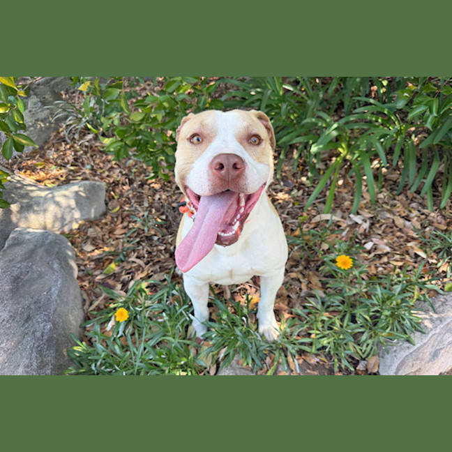 Photo of Benson
