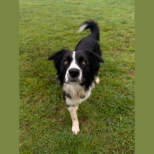 Photo of Nellie