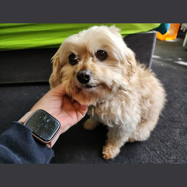 Photo of Lola Silvanus