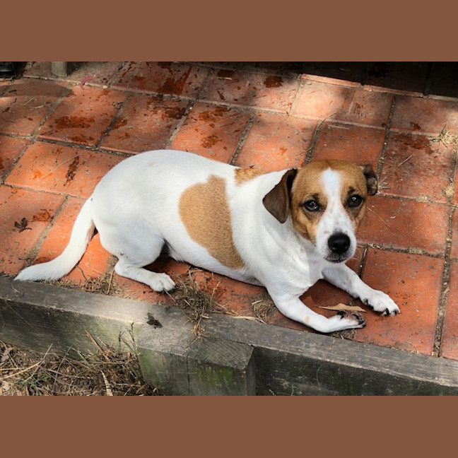 Photo of Jack