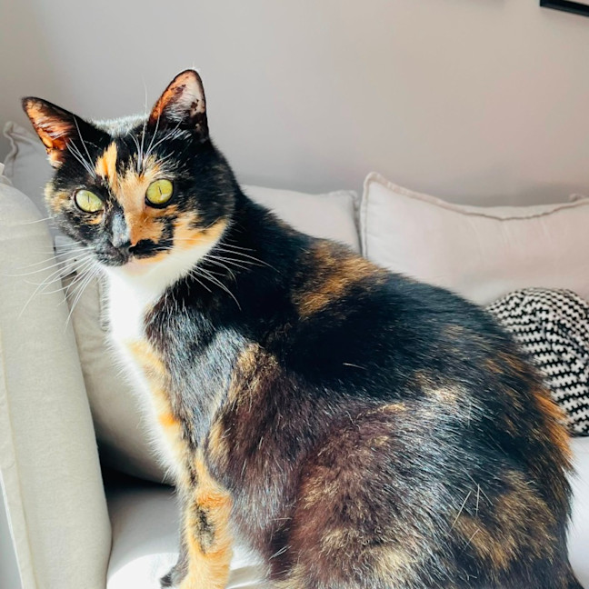 Photo of Aggie