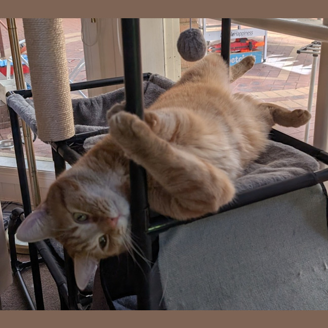 Photo of Jasper