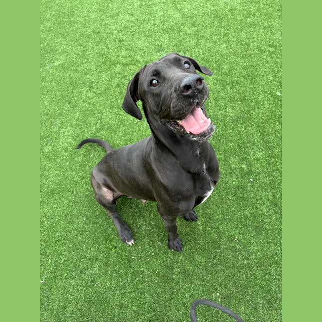 Photo of Ursula Imp 2239