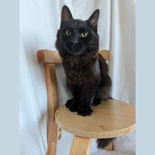 Photo of Mimi