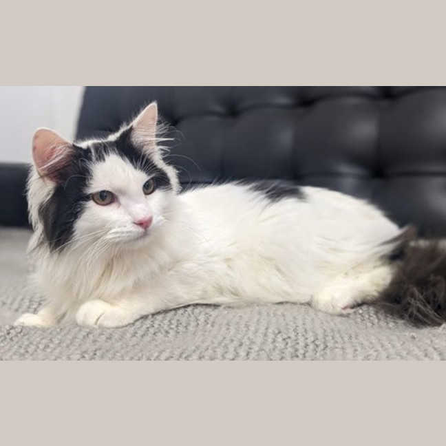 Photo of Precious