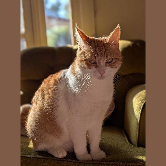 Photo of Charlie 
