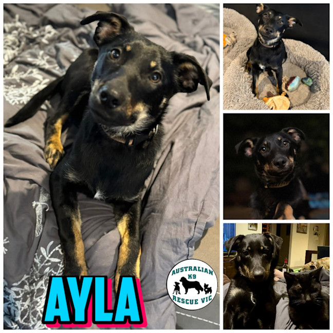 Photo of Ayla 