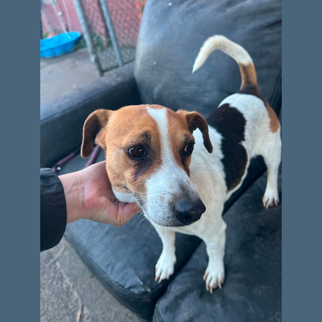 Photo of Bilbo Baggins