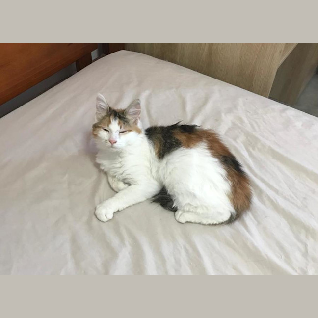 Photo of Molly