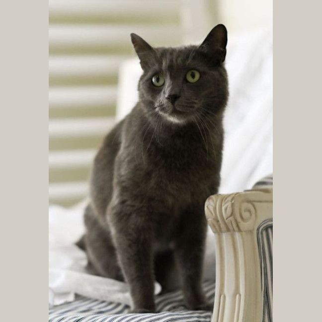 Photo of Hugo