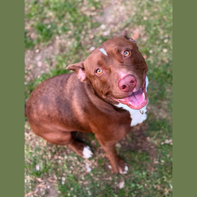 Photo of Zeus