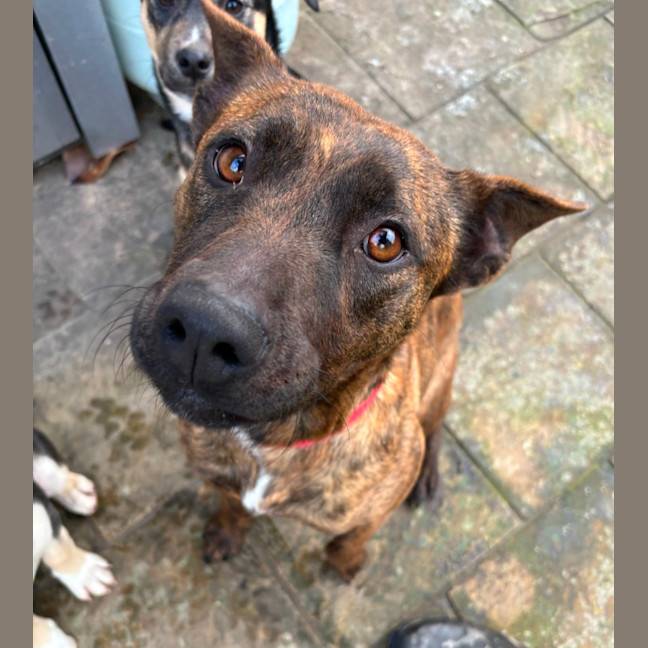 Photo of Cocobella