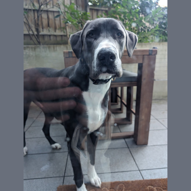 Photo of ❤️ Franco ❤️