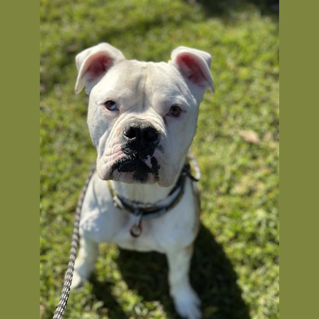 Photo of Thor