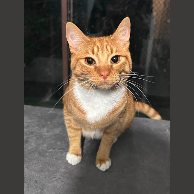 Photo of Zeus 🛡️ 