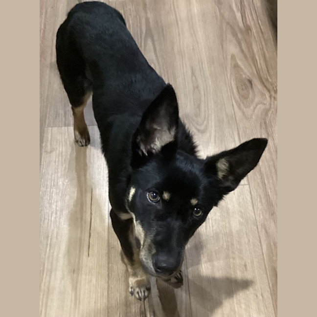 Photo of Susie