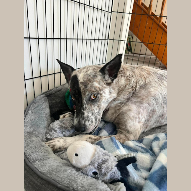 Photo of Moni