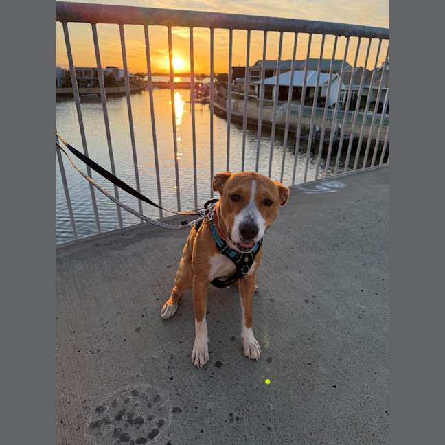 Photo of Coco