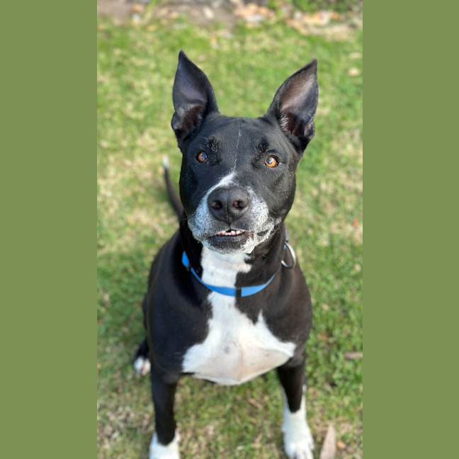 Photo of Winston