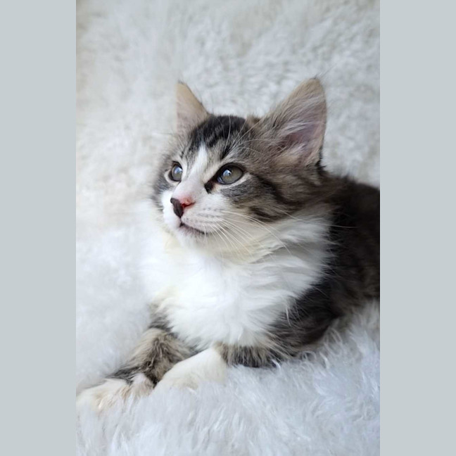 Photo of Charlotte