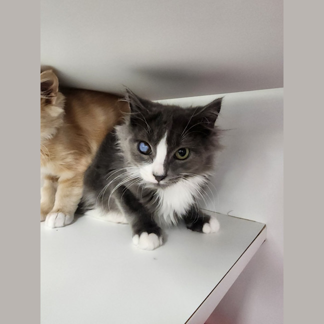 Photo of Maurice