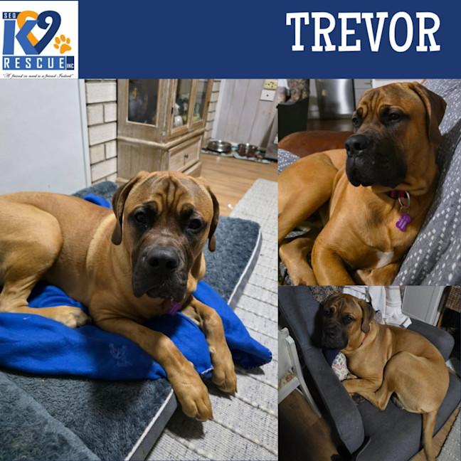 Photo of Trevor
