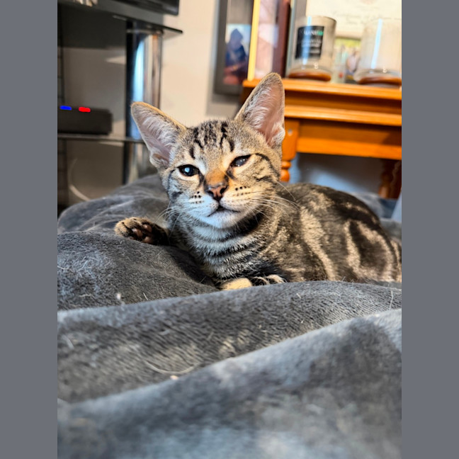 Photo of Smiley