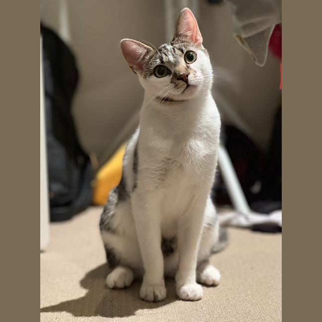 Photo of Nugget Scott