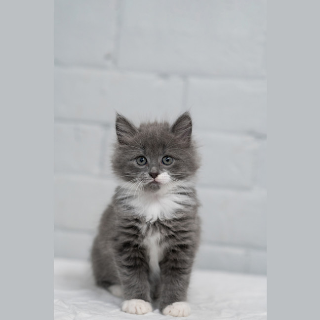 Photo of Marie