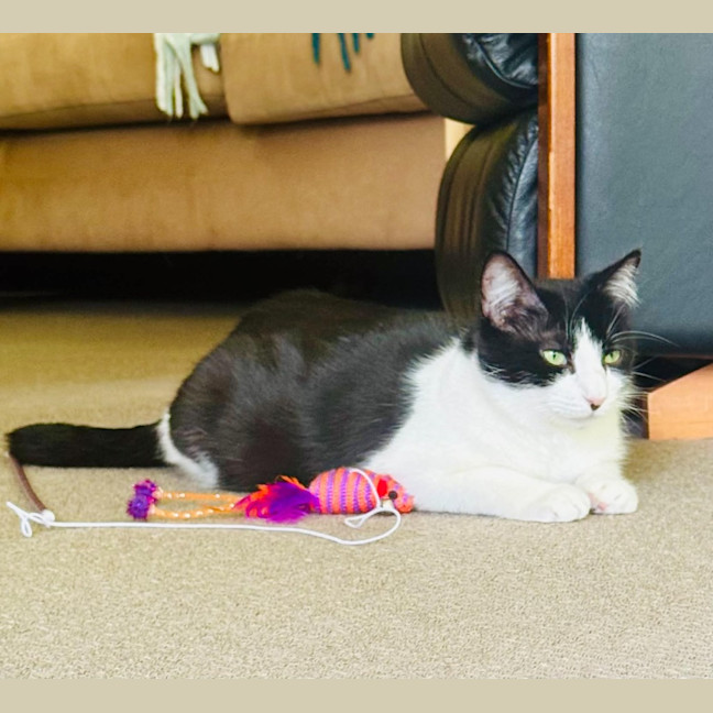 Photo of Mavis