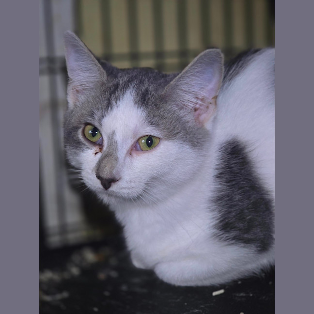 Photo of Bonnie