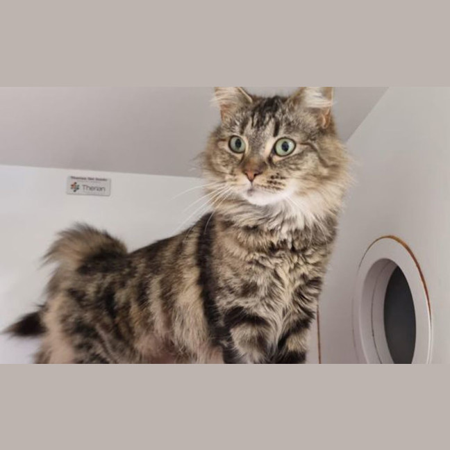 Photo of Lucette