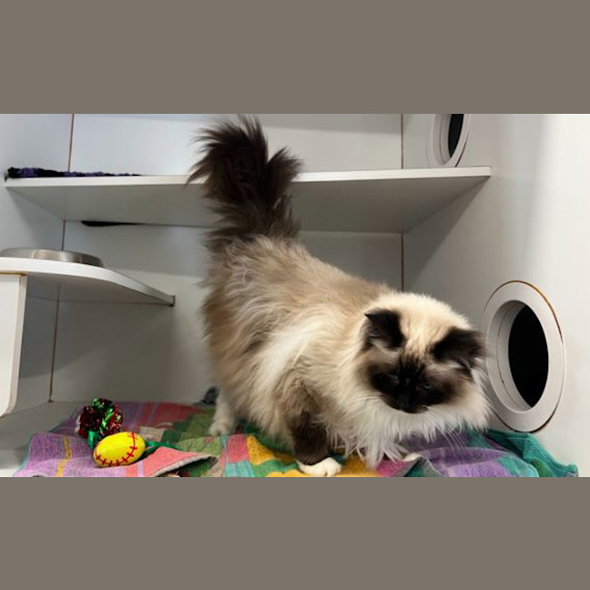 Photo of Missy