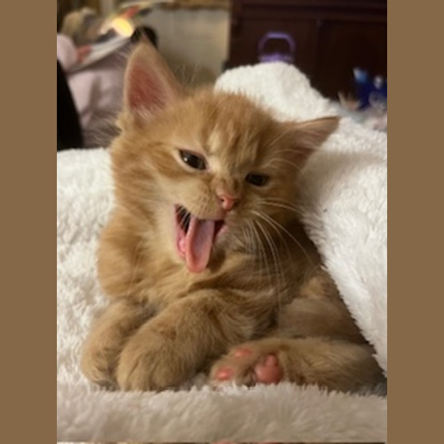 Photo of Artie