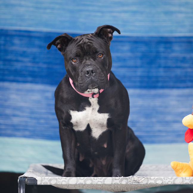 Photo of Lola