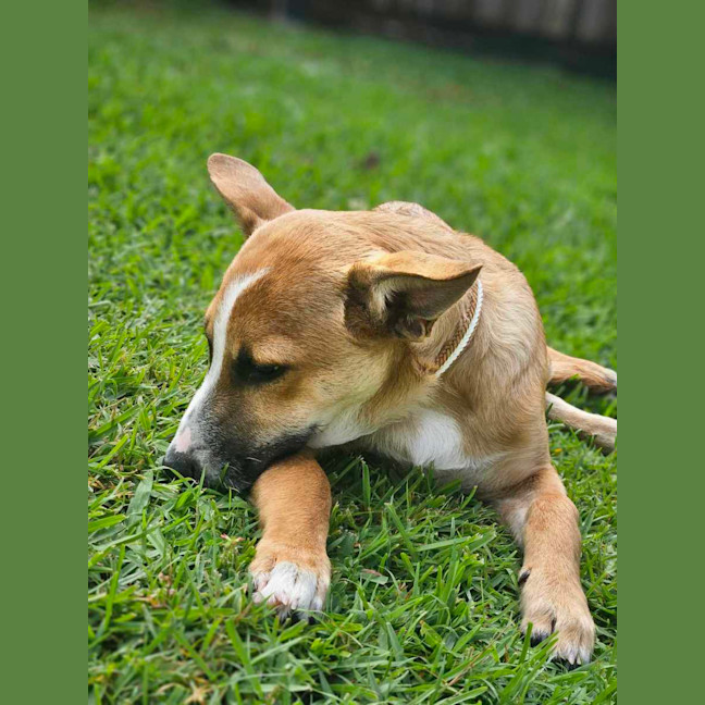 Photo of Wilfred