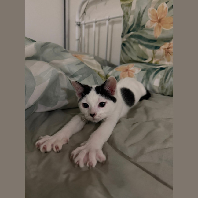 Photo of Josie (With Margo)