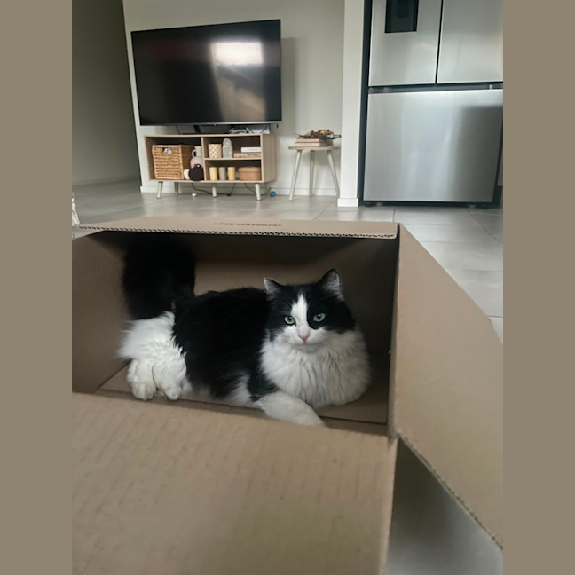 Photo of Luna