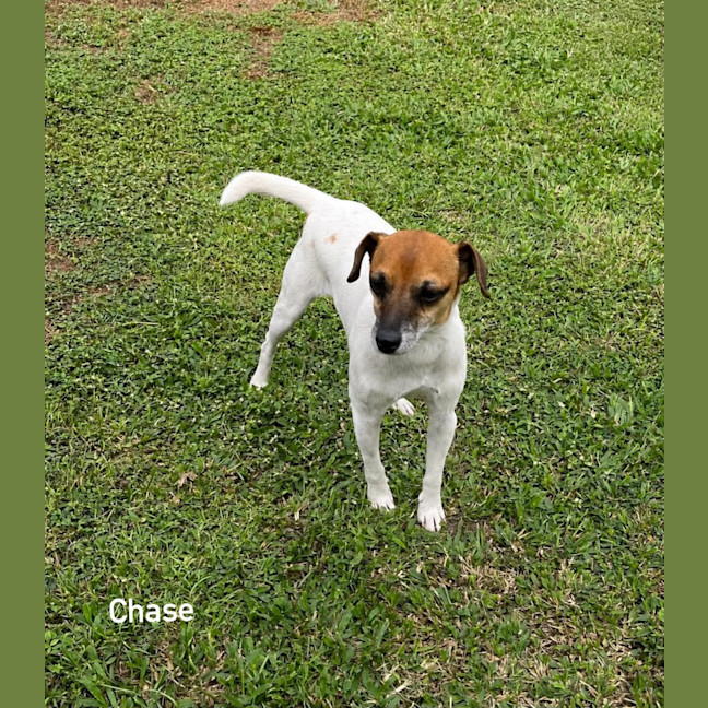 Photo of Chase