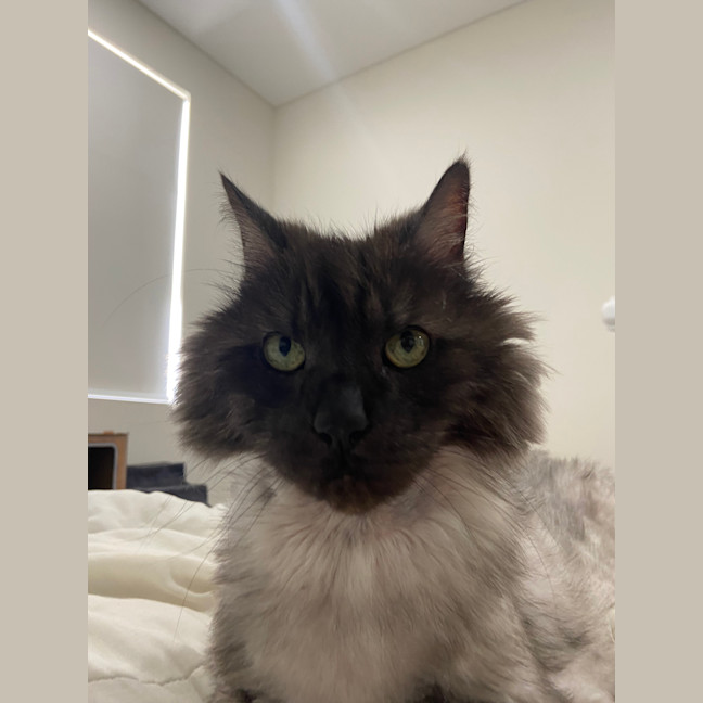 Photo of Governor Purrington