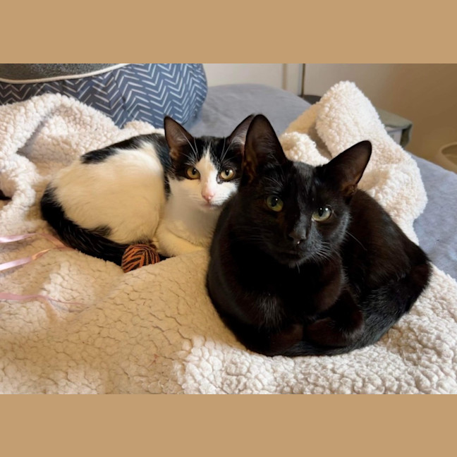 Photo of Eddie & Akira